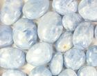 Lot: Polished Blue Calcite Pebbles - kg ( lbs) #77755-2